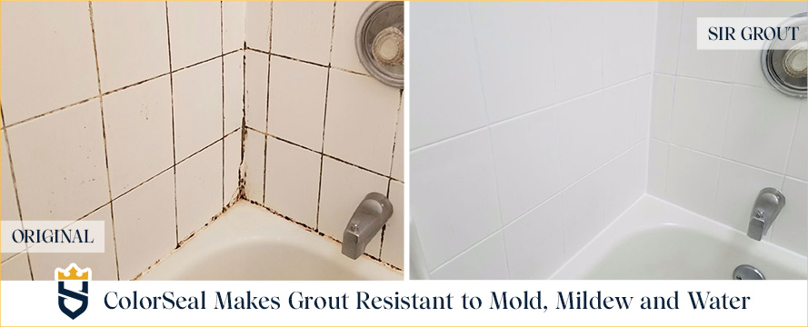 ColorSeal Makes Grout Resistant to Mold, Mildew and Water