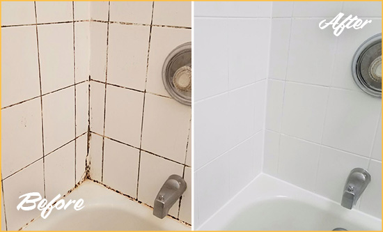 Before and After Picture of a Carmel Shower Tile and Grout Cleaned to Eliminate Mold